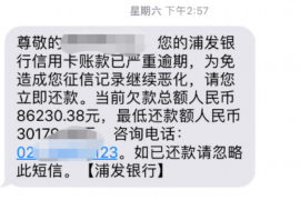 正定为什么选择专业追讨公司来处理您的债务纠纷？